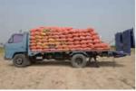 Saisie de plus de 4 tonnes de pommes de terre à l'Ariana et autant à Zaghouan