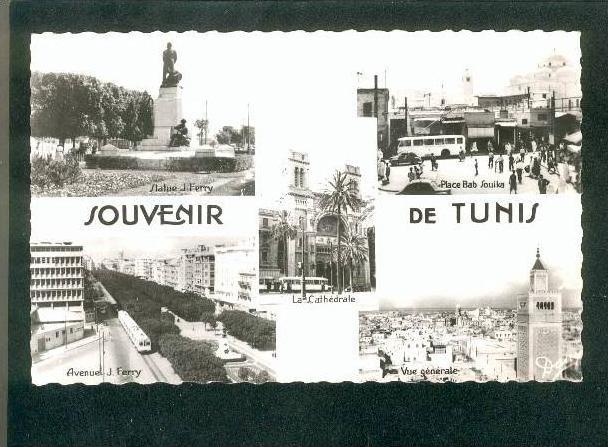 CPSM - Souvenir de Tunis - Multivues dont Place Bab Souika avec autobus ... ( G. LEVY)