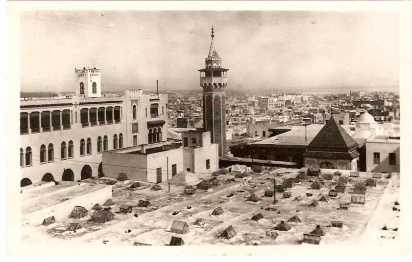 cpsm N°8.TUNIS. Vue générale et le Minaret de Sidi Ben Arous