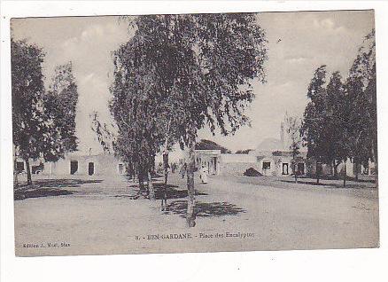 TUNISIE Ben Gardane Place des Eucalyptus