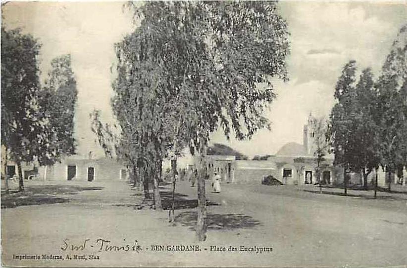 tunisie -ref A141- ben gardane - place des eucalyptus -carte bon etat -