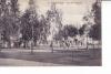 TUNISIE , BEN-GARDANE , PLACE DES EUCALYPTUS