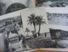 Lot 7 CPA Carthage (Tunisie) - Diverses vues ...