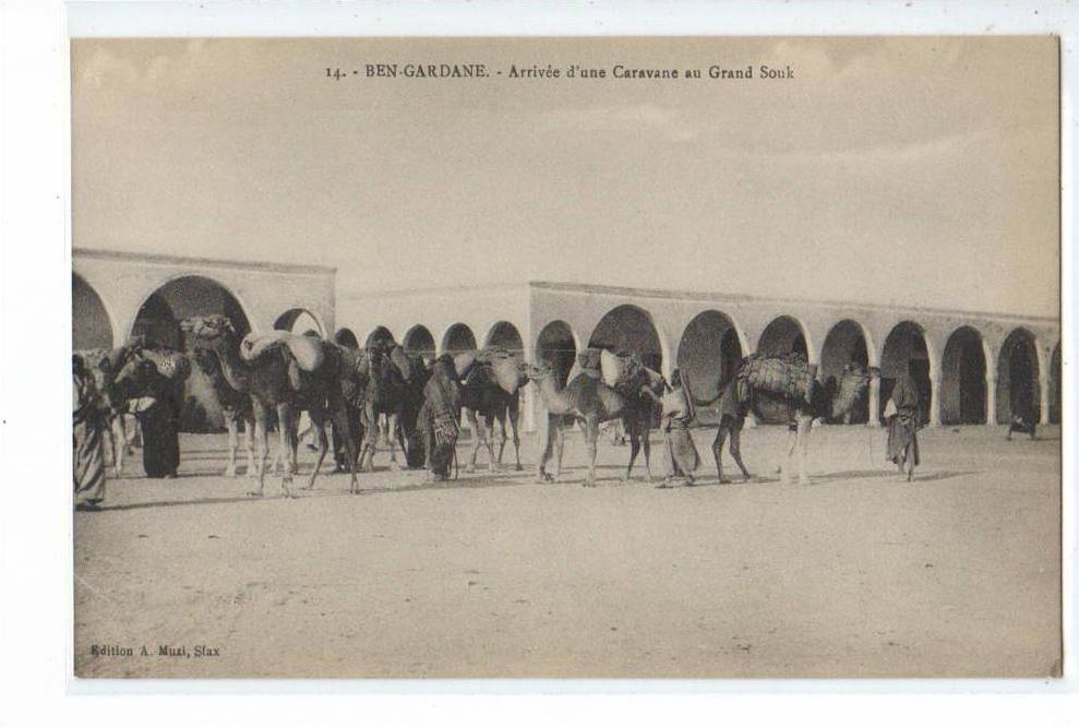 BEN-GARDANE , ARRIVEE D'UNE CARAVANE AU GRAND SOUK