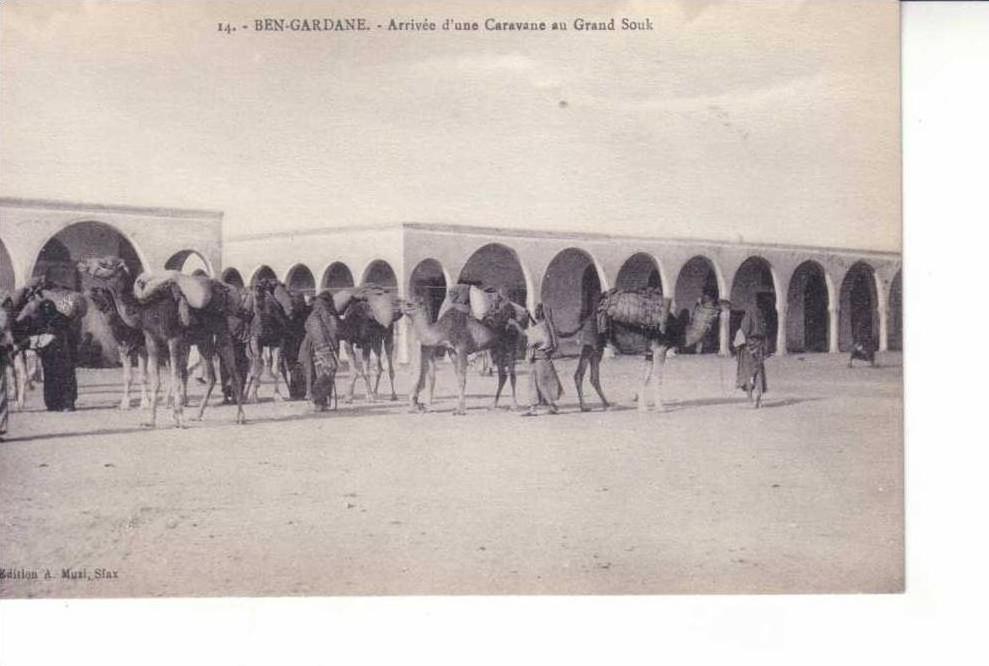 TUNISIE , BEN-GARDANE , ARRIVEE D'UNE CARAVANE AU GRAND SOUK