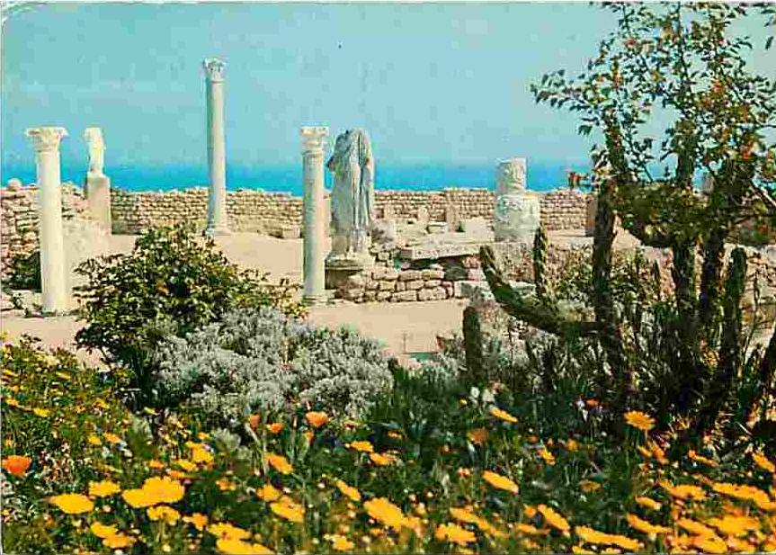 Tunisie - Carthage - Antiquarium - Voir Scans Recto-Verso