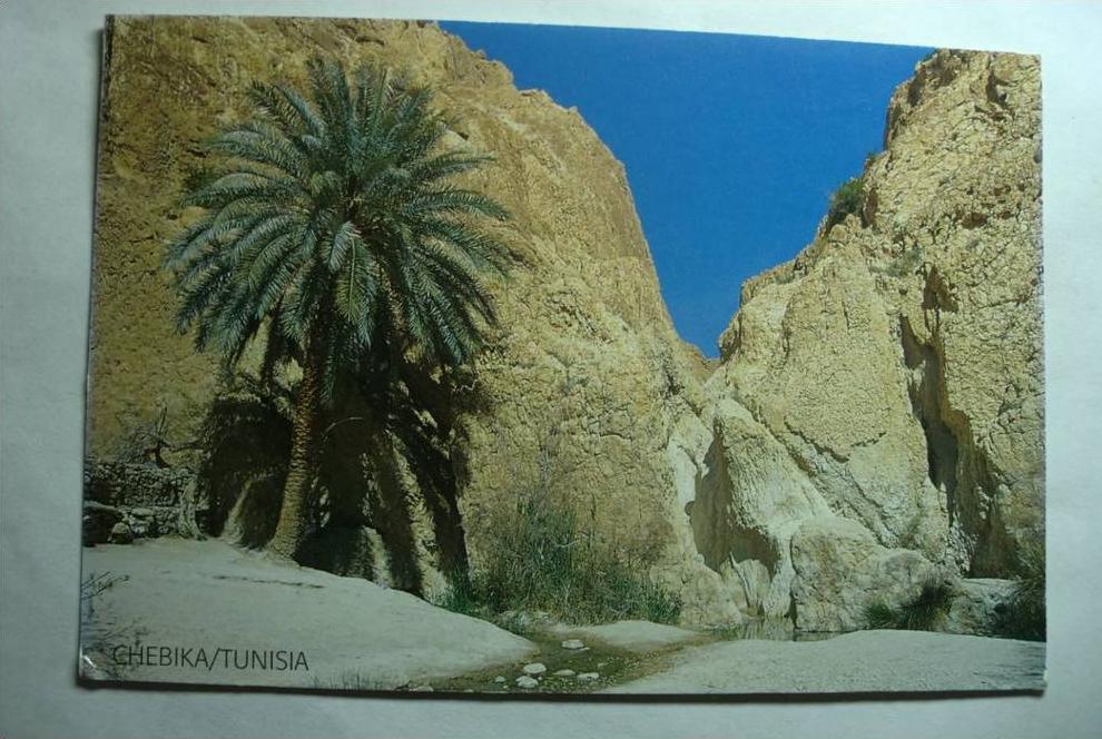 chebika - tunisia