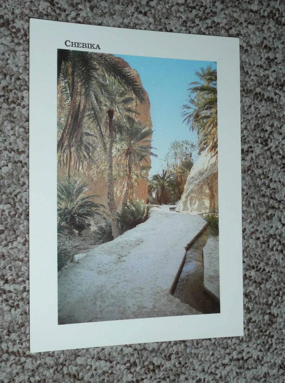 CPM, Carte Postale, Tunisie, Chebika