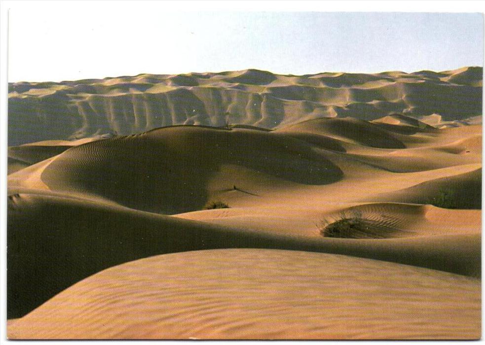 Sahara de Douz - Sud Tunisien