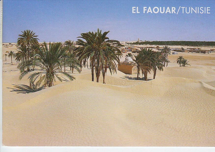 d19 392 - TUNISIE - cpsm EL FAOUAR