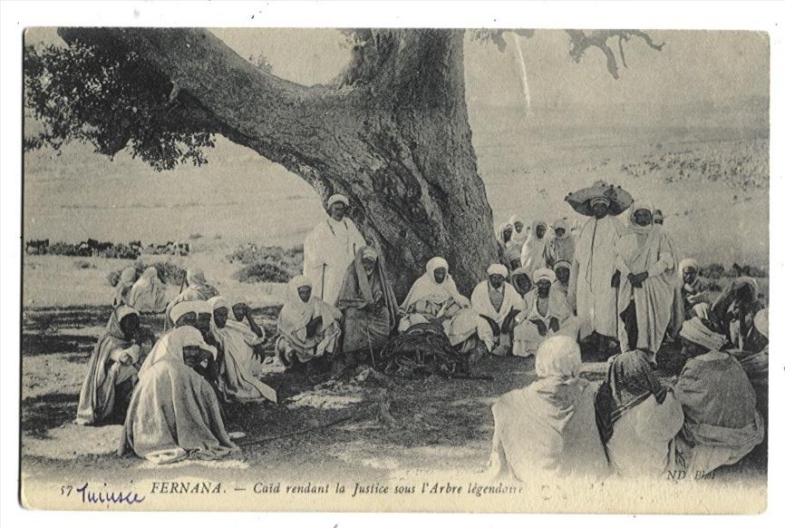 TUNISIE - FERNANA Caïd rendant la justice sous l'arbre légendaire