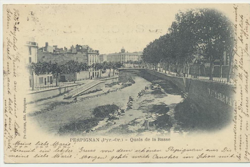 66 - Perpignan (Pyr.Or.) - Quais de la Basse gel.1902