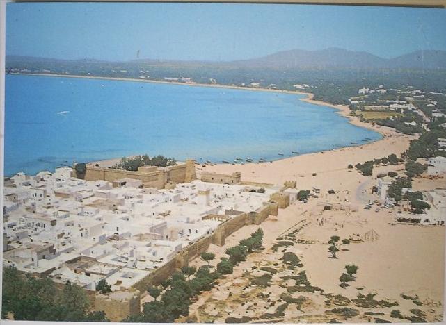 C. Postale TUNISIE - HAMMAMET - Le fort et les remparts