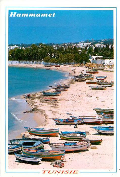 CPSM Hammamet-Barque L1336