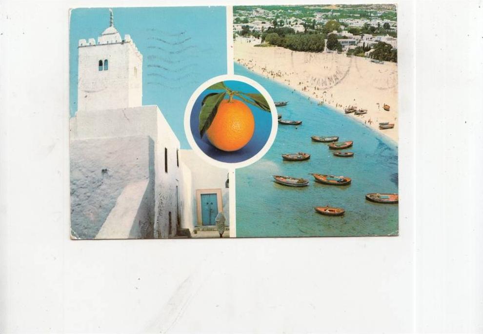 BT6110 Hammamet Tunisie 2 scans