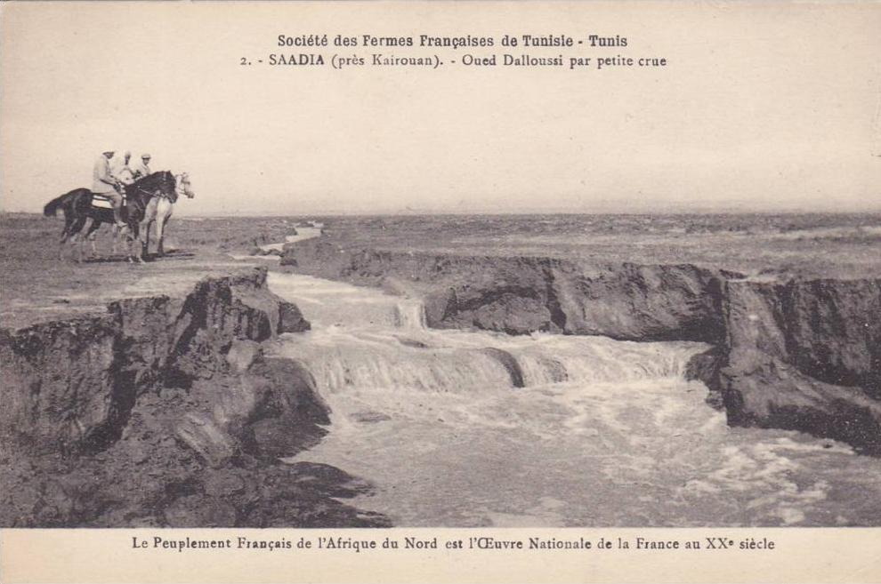 CARTE POSTALE ANCIENNE,AFRIQUE DU NORD,SAADIA EN 1900,PRES KAIROUAN,OUED,COLON FRANCAIS