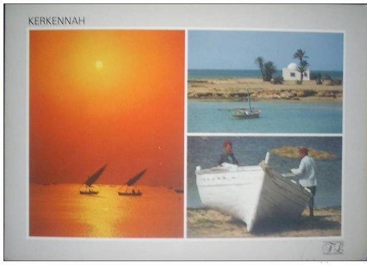 C. Postale TUNISIE - KERKENNAH, L'ile enchantée (1997)