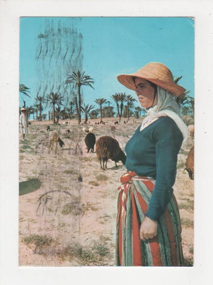 Afrique Tunisie Kerkennah de toujours femme troupeau de moutons chèvres carte écrite édition Ismaïl