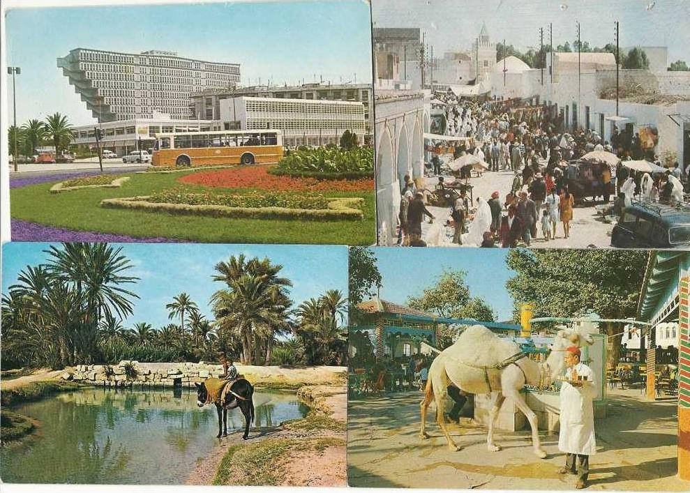 10dito TUNISIE LOT DE 4 CP PLACE D´AFRIQUE, OASIS, RUE A KORBA, LE CAFE SAF SAF