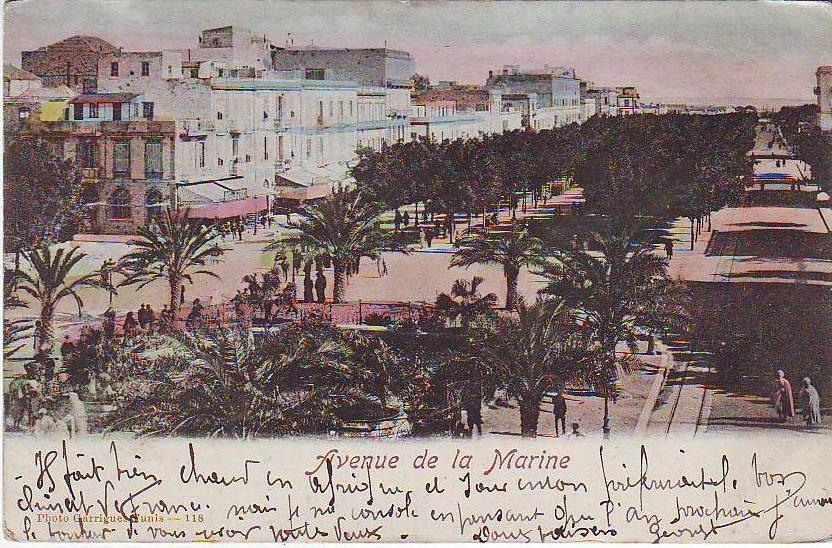 TUNIS . AVENUE DE LA MARINE . ANIMATION. cachet MANOUBA REGENCE DE TUNIS