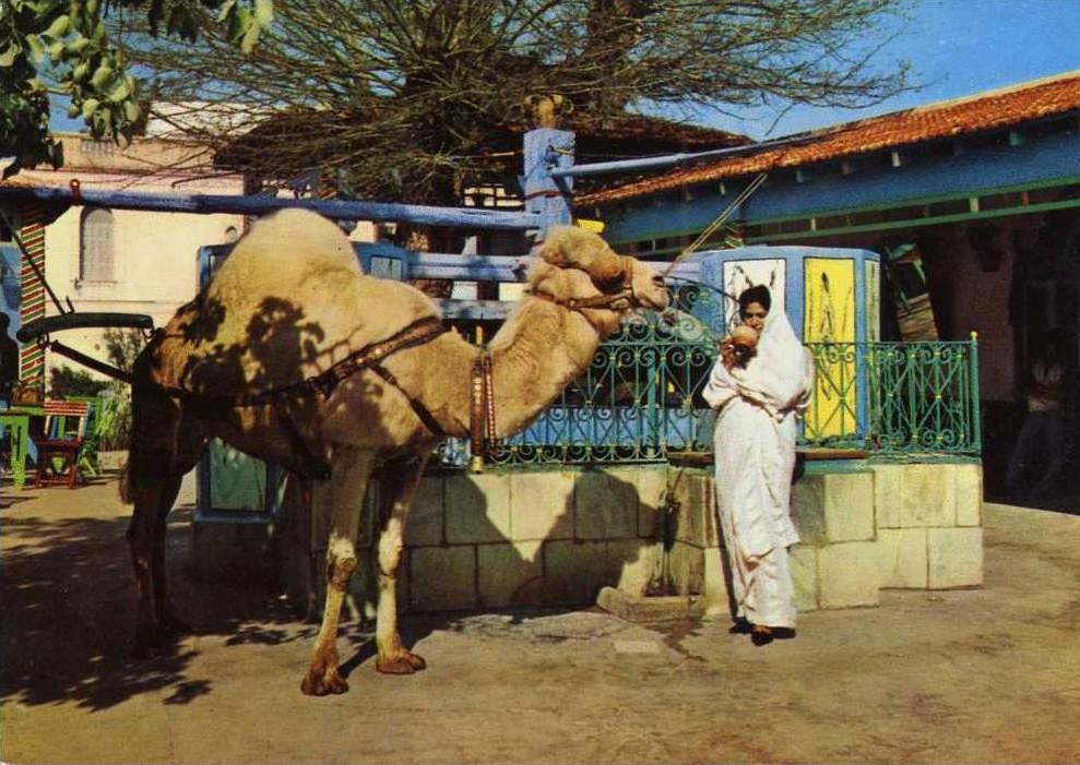 TUNISIE / Tunesien La Marsa Cafe du Saf - Saf