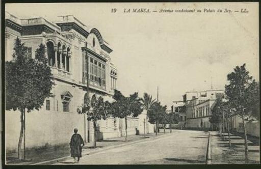 TUNISIE LA MARSA / Avenue conduisant au palais du Bey /