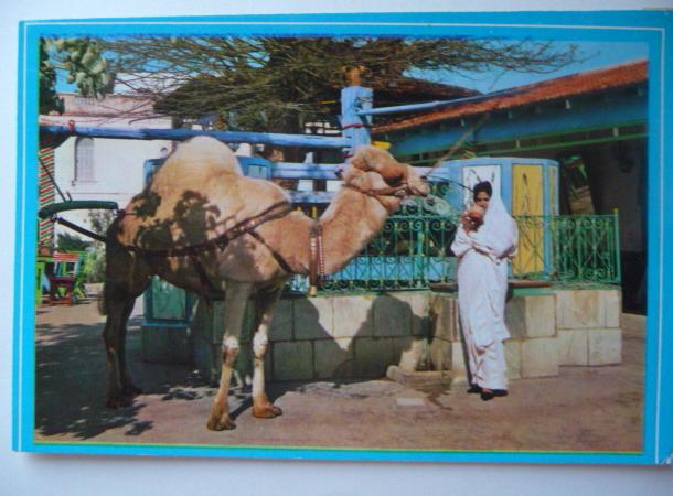 rébublique tunisienne la marsa souvenir du saf