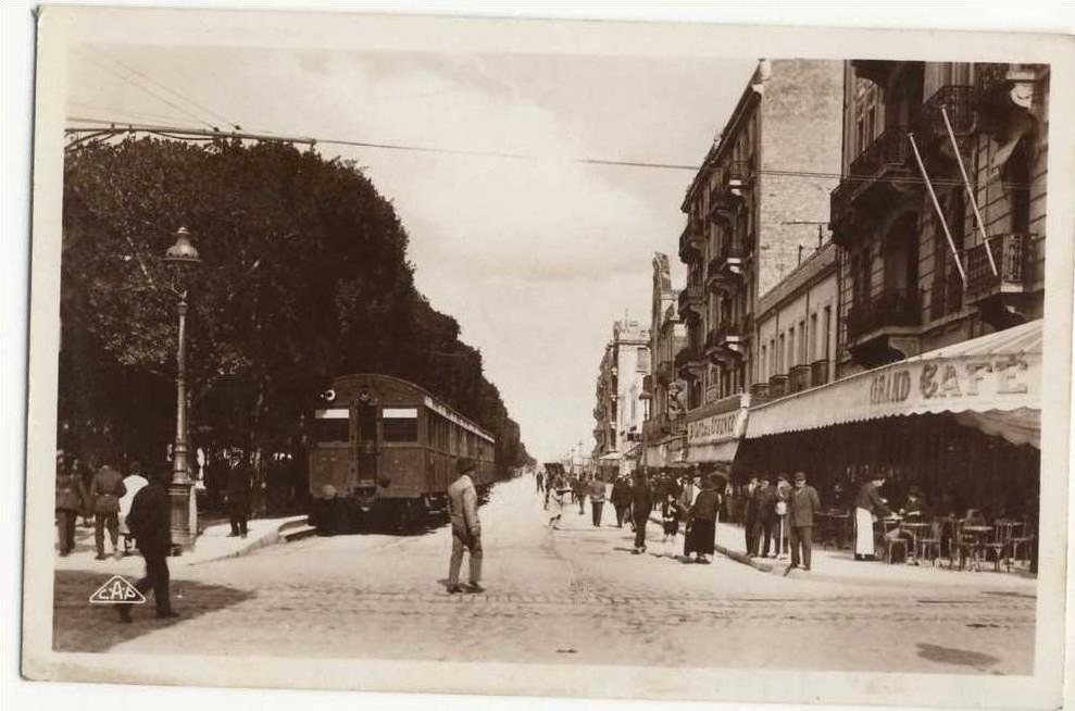 TUNIS. - Avenue Jules-Ferry et le Tramway de la Marsa.CPSM x 14