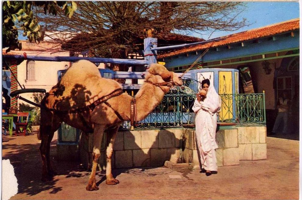 tunisie - La Marsa - cafe du saf saf