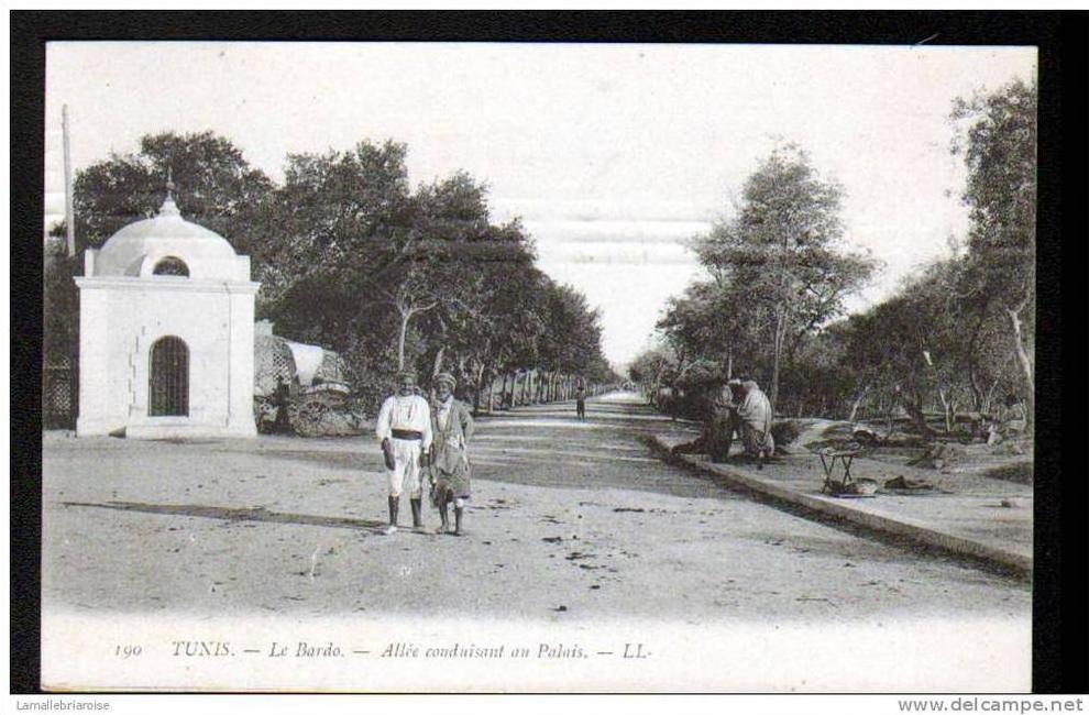 TUNIS - LE BARDO - ALLEE CONDUISANT AU PALAIS