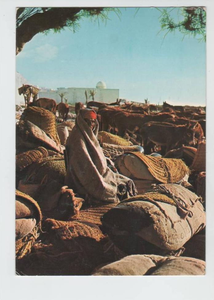 Tunisia postcard MAHDIA Le Marche de Betail sent to Denmark 30-5-1972