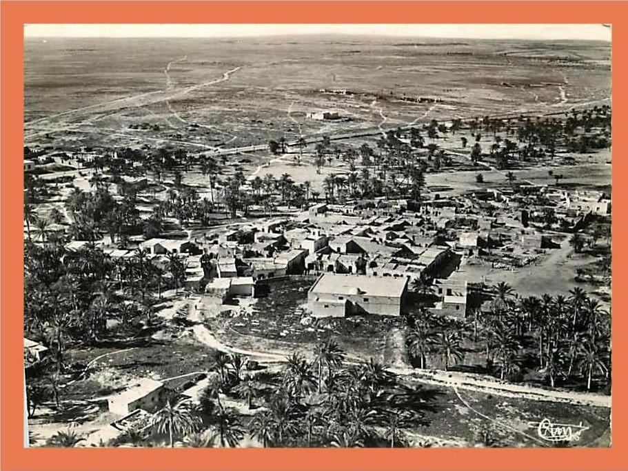 Tunisie MARETH Vue aérienne sur le Village et la Palmeraie // CPSM Dentelée