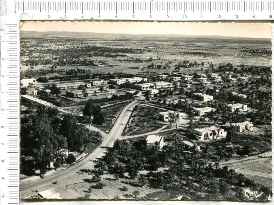 MARETH - Vue Aérienne sur la Palmeraie -