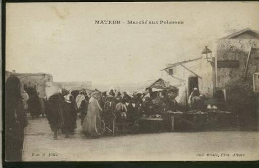 TUNISIE MATEUR / marché aux poissons /