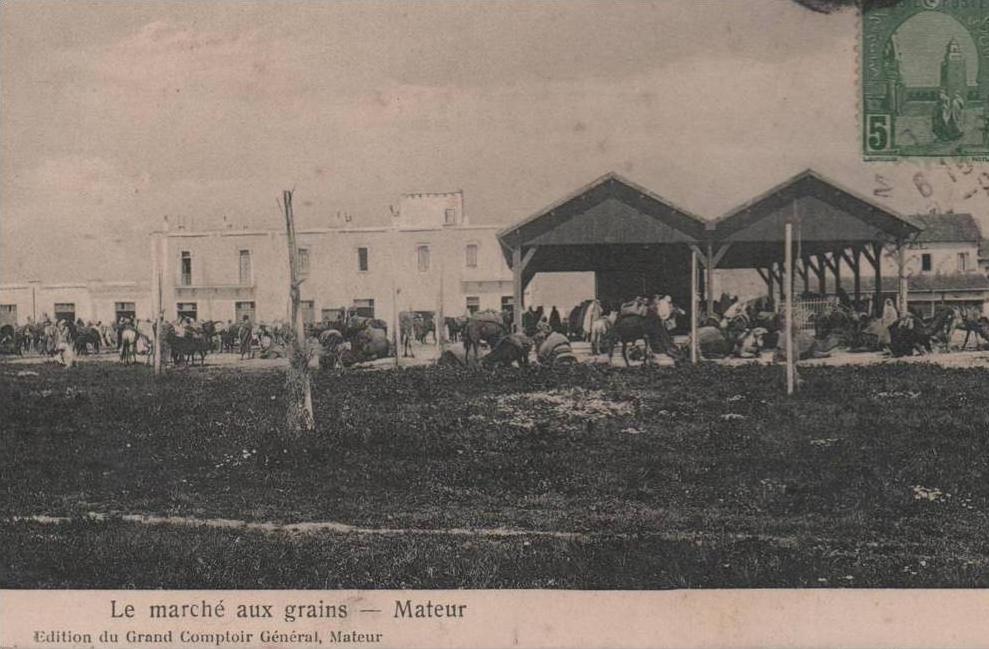 CPA TUNISIE.MATEUR.LE MARCHE AUX GRAINS.